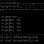 Updated server after a long while | 阔别已久的服务器更新